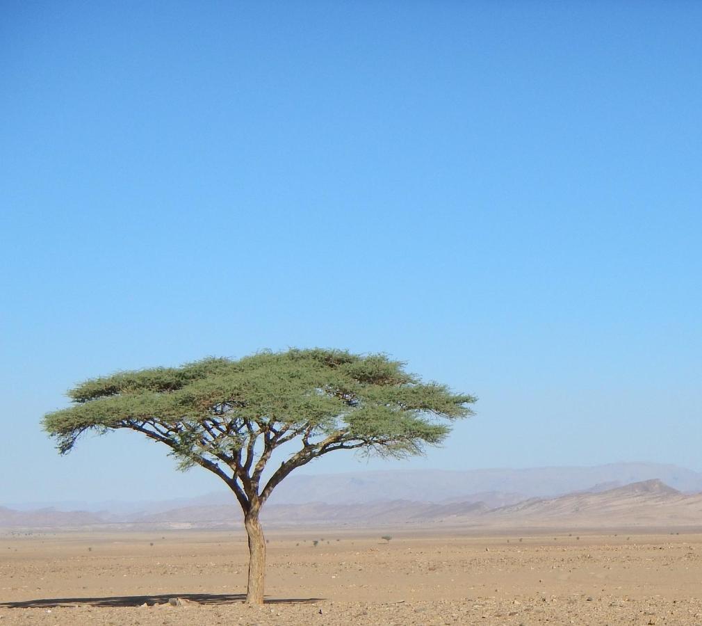 Paradis Touareg Zagora Kültér fotó